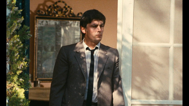 Backdrop