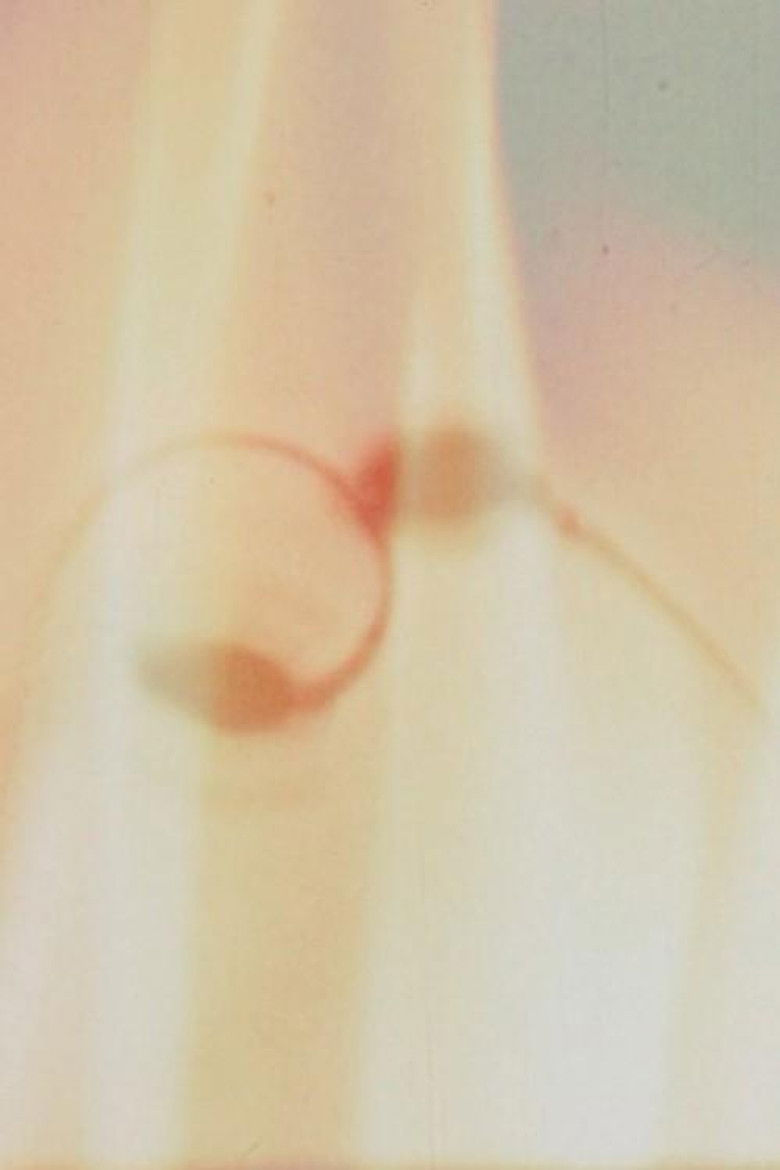 Imatge de Hurry, Hurry!