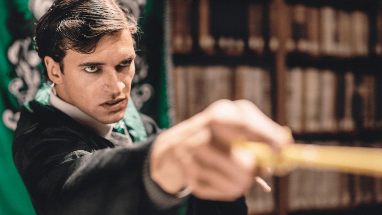 Imatge de Voldemort: Origins of the Heir