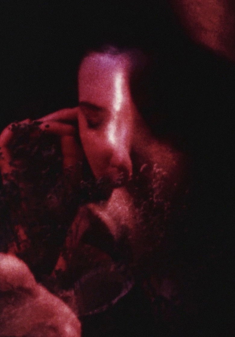 Imatge de Private Imaginings and Narrative Facts