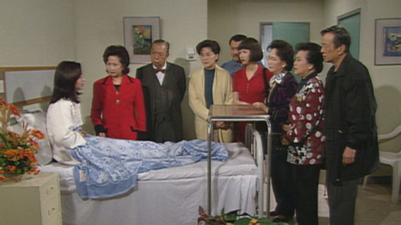 真情 Temporada 1 Episodio 232 Cuevana 3