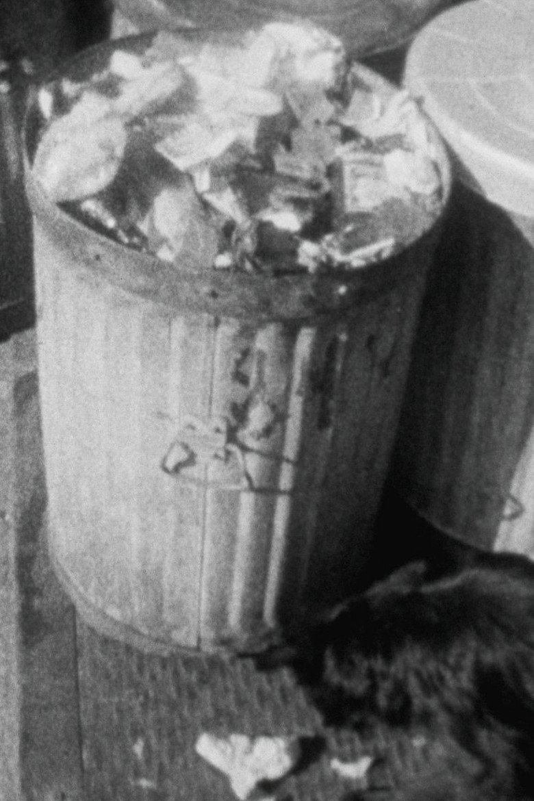 Imatge de Garbage Demonstration (Newsreel #5)