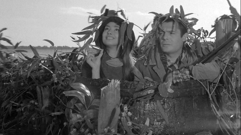 Image d'arrière-plan 5 du film Everyone's in Love