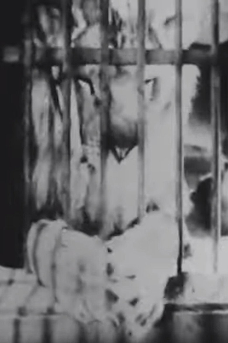 A Circus Wakes Up background