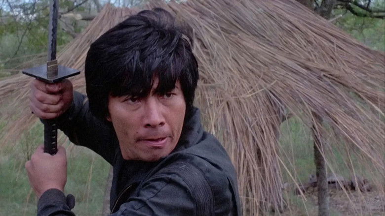 Rage of Honor (1987)