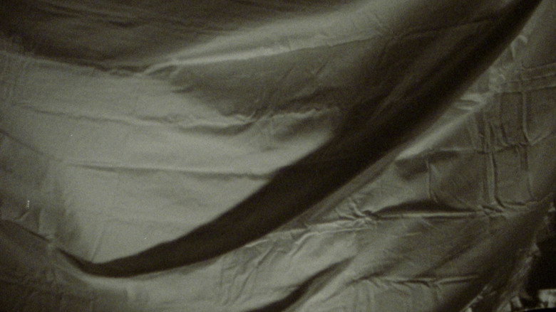 Backdrop 9