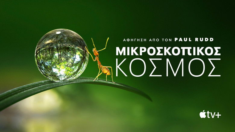 Gallery image from asqVdaytyBuxqTzWeoA27xaYWff.jpg