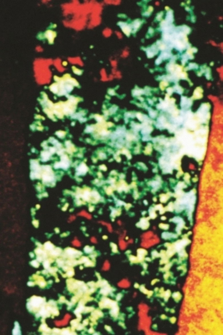 Imatge de Trees of Syntax, Leaves of Axis