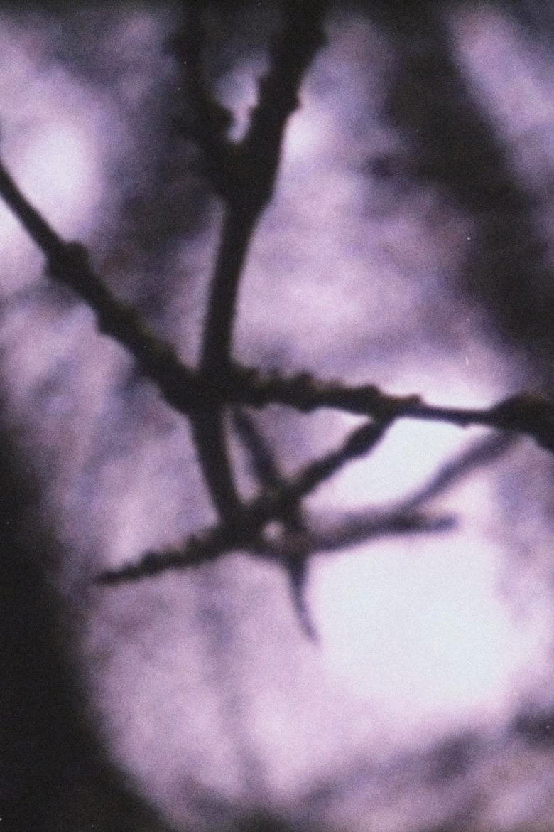 Imatge de Put It on the Ground