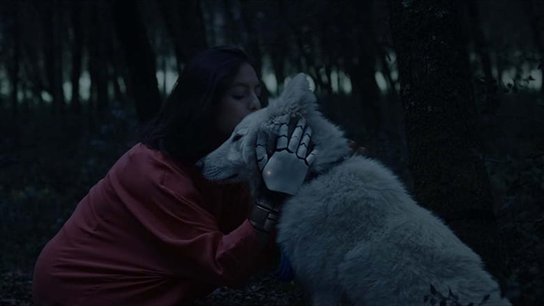 Black Hollow Cage 映画 無料 2017