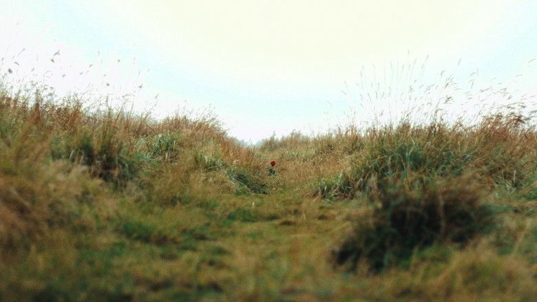 Imatge de Roses Are Red