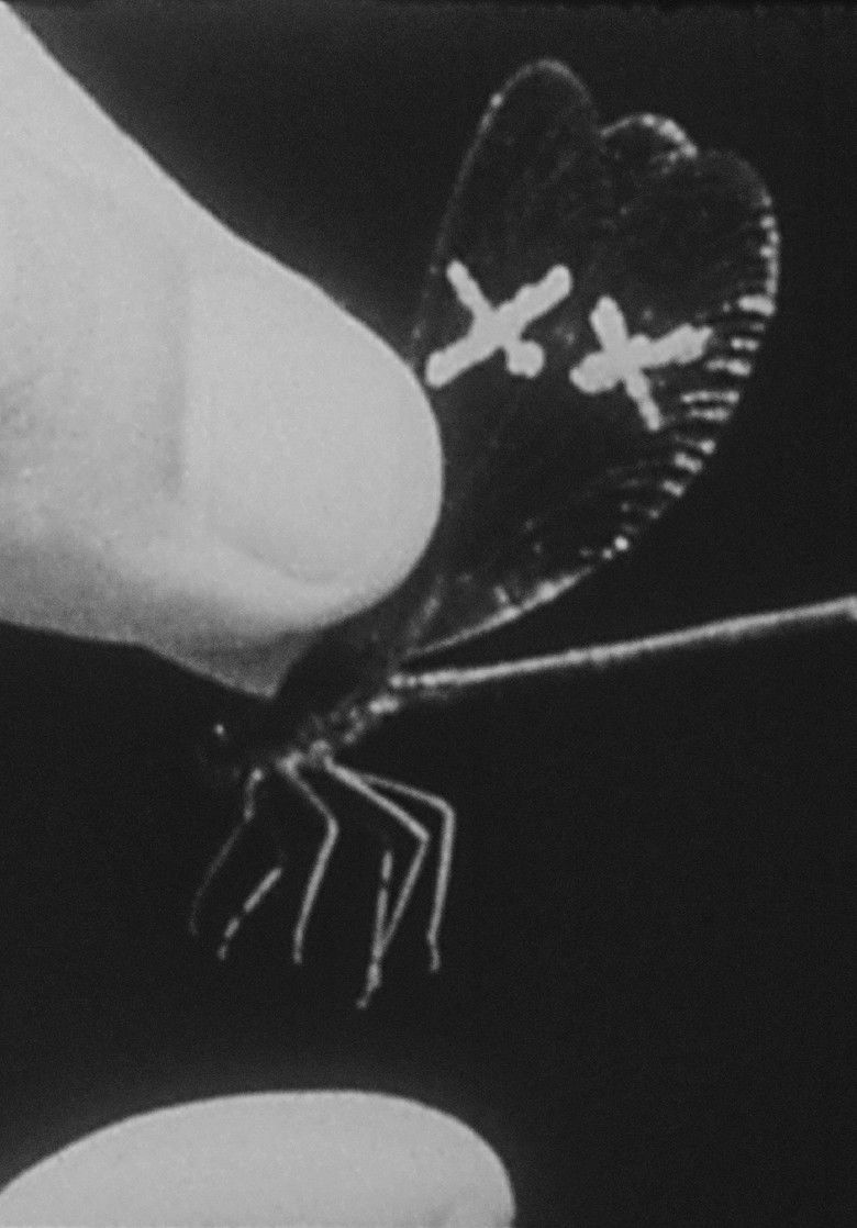 Imatge de Concerning Flight: Five Illuminations In Miniature