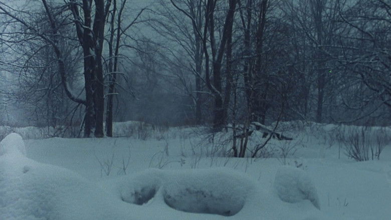 Gallery image from awjv3sZrS4G1IZOc8J6Ug9Lhwqk.jpg