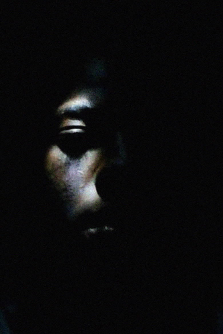 Imatge de The Black Box