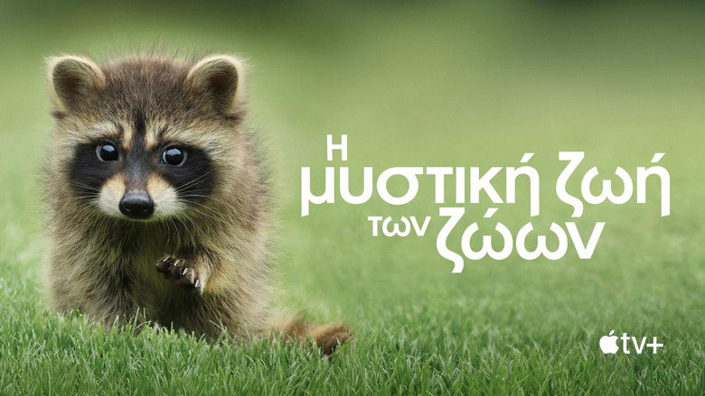 Gallery image from axDSsupmzfABEmrG6uozjCUSi8d.jpg