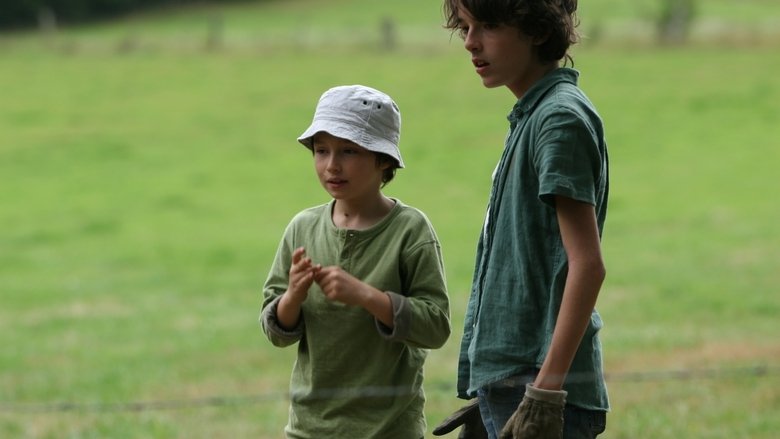 The Devil in the Skin (2011)