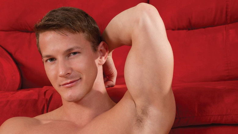 Backdrop de Intensity Collection