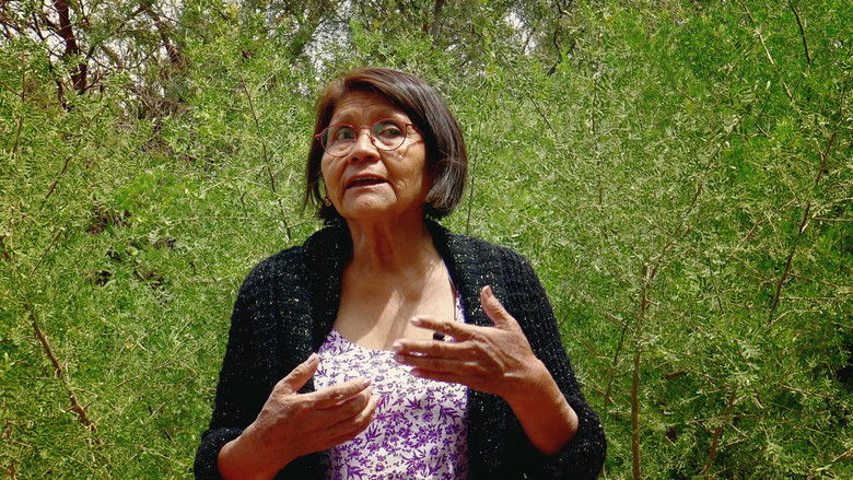 Gallery image from axu6UlY8eNIKgCTqtf6zs6s3Oms.jpg