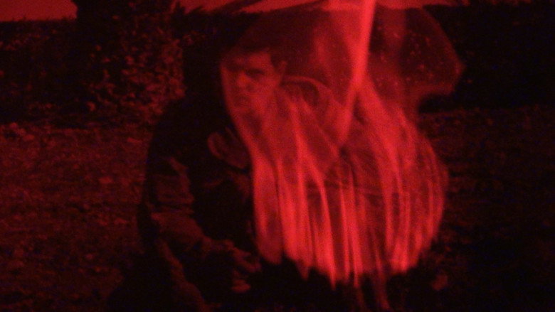 Imatge de Comme d’ici au pommier