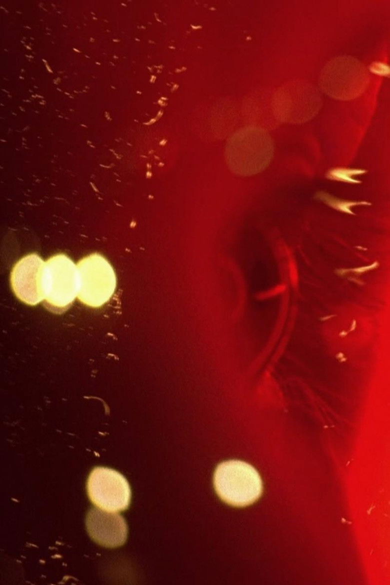 Imatge de Cruel Optimism