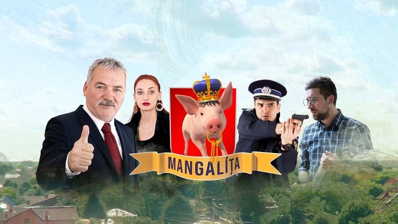 Gallery image from ayNBVkTko53KpqSQMtM7m3vwqoV.jpg