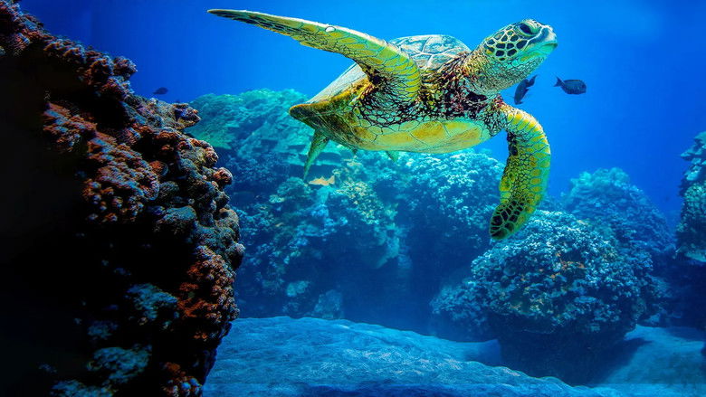 Just Animals backdrop 1