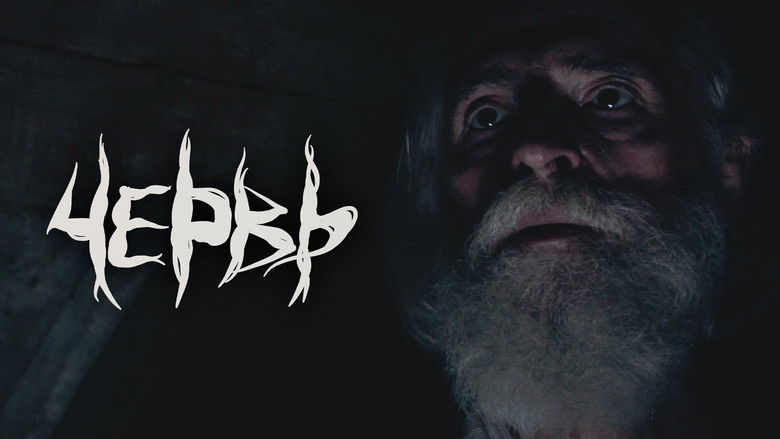 Gallery image from azlOhvJ0j6xzInLAeJ7Wo4vc0yU.jpg