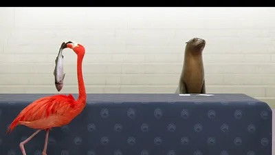 Still image for Athleticus season 1 episode 25: Episode 25