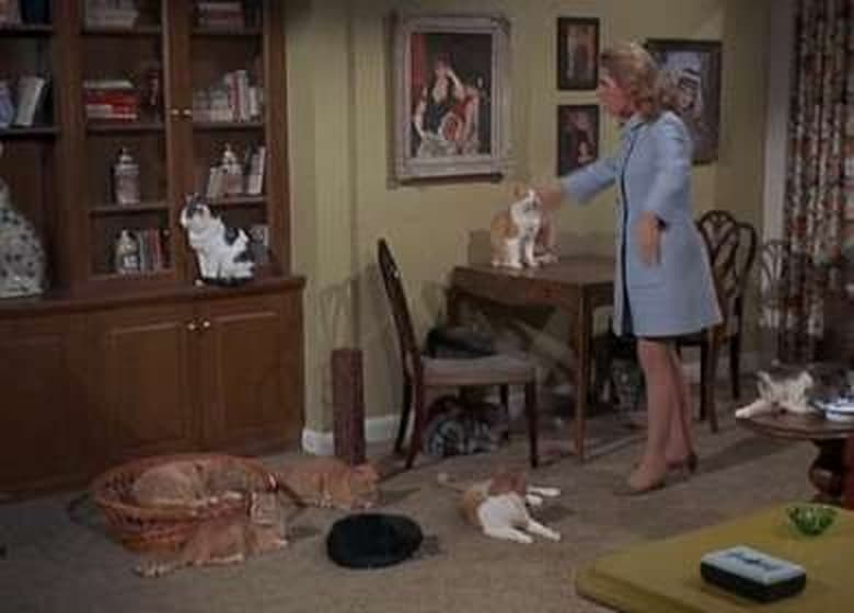 Bewitched Season 5 Episode 20