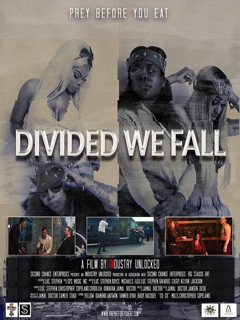 Divided We Fall (2021)