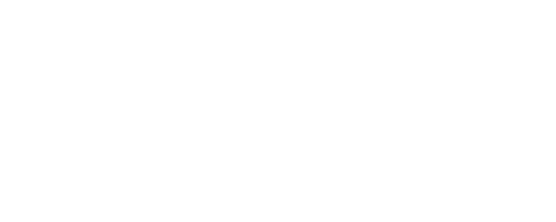 A Mulher do Meu Marido