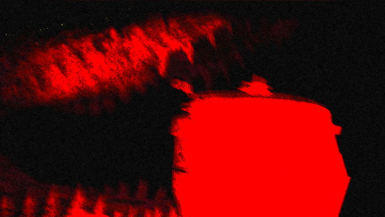 Alligator