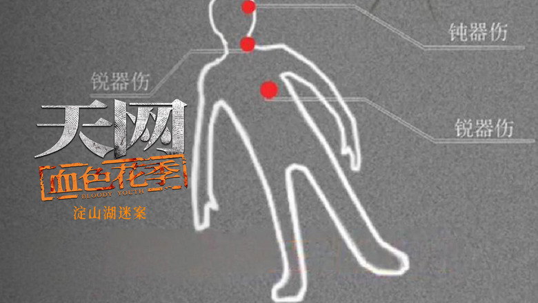 天网: 8×10