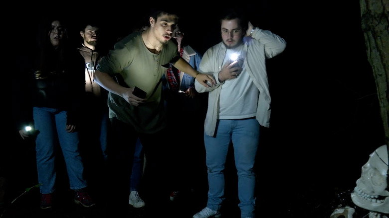 Projet : Blood 1