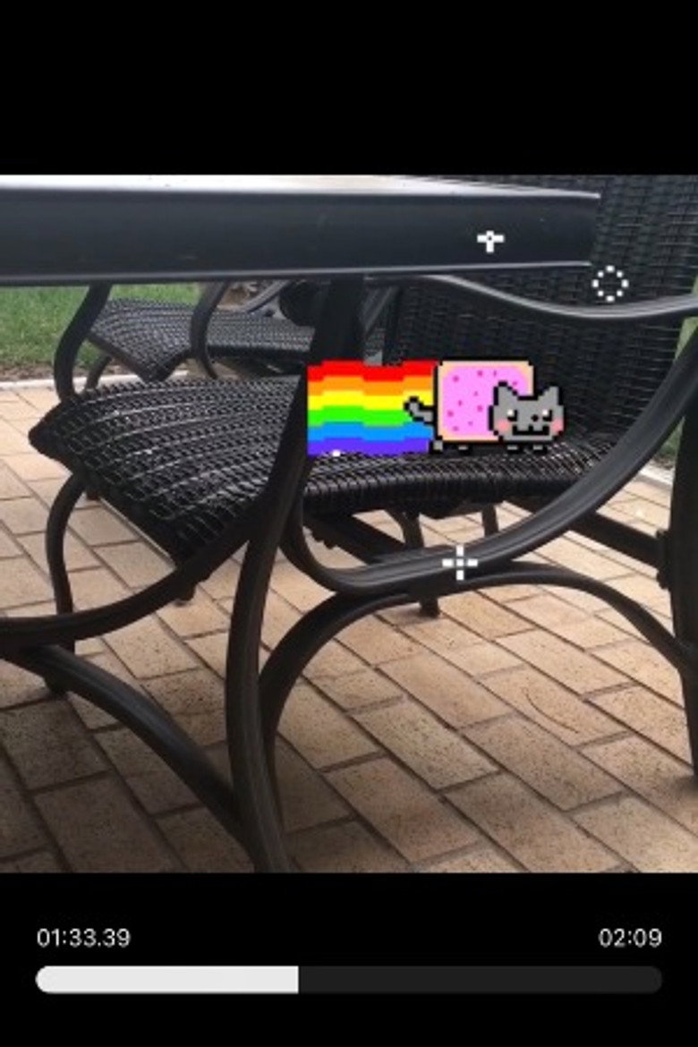 Photo de Nyan Cat