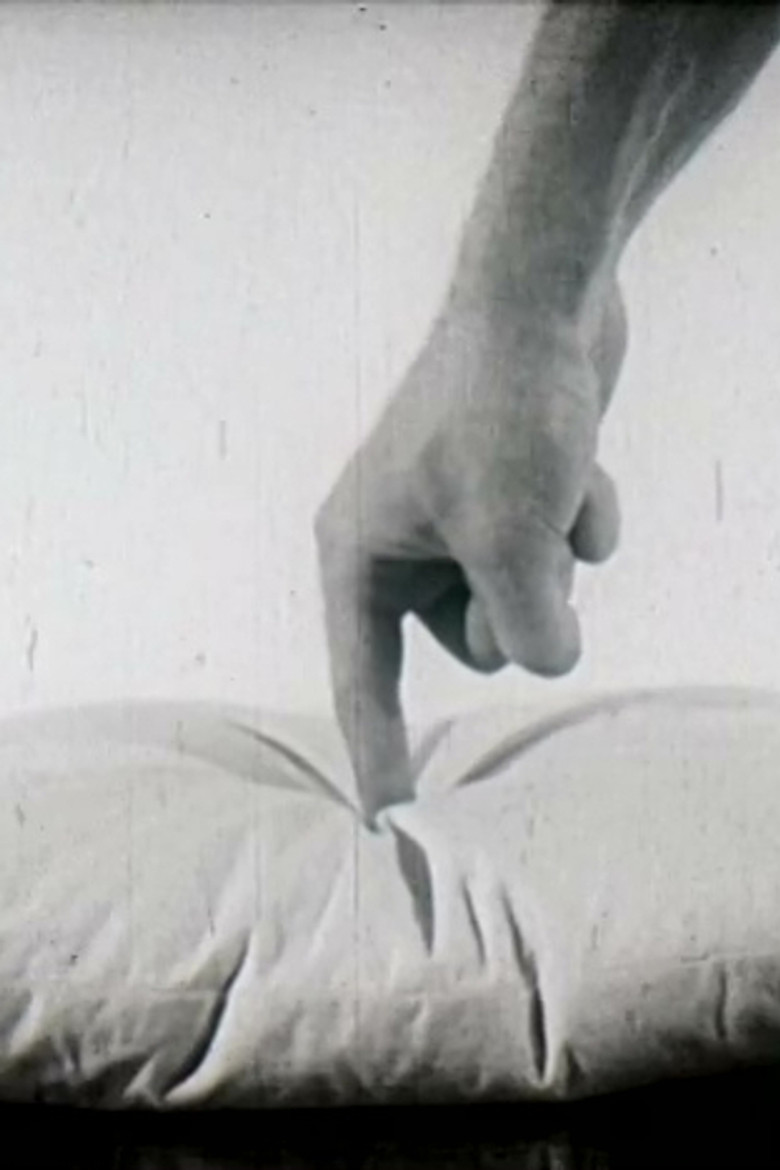 Imatge de Sans titre 1