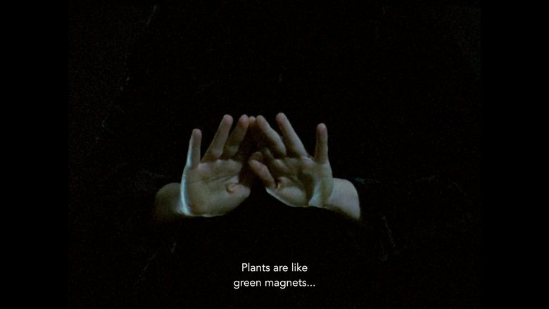 Gallery image from b4PcSNq3lYCkoeAJI0LNIev8ilL.jpg