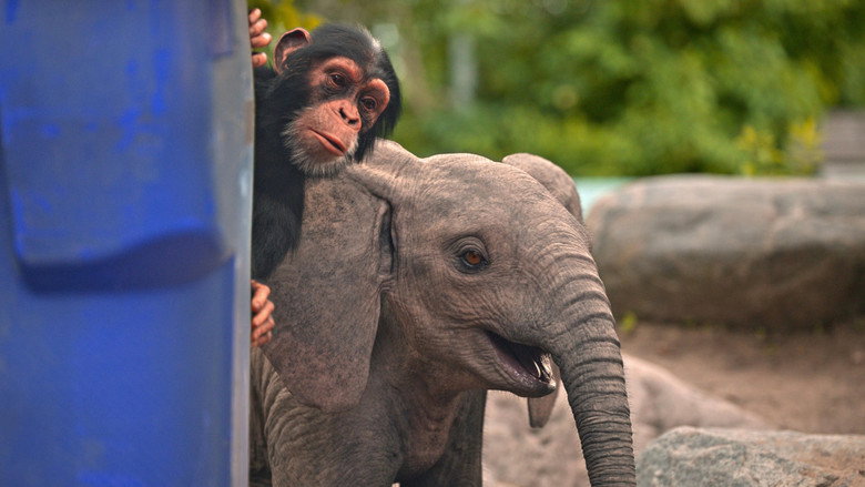 Still from Janes tierische Abenteuer - Season 3 Episode 4