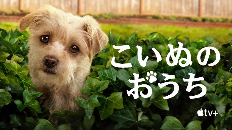 Gallery image from b52KuczLx68aNm6j4gbwKpxLWyv.jpg