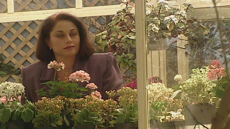 Still image for Mirada de Mujer season 1 episode 113: Necessity Is Creative Still image for Mirada de Mujer season 1 episode 113: Necessity Is Creative