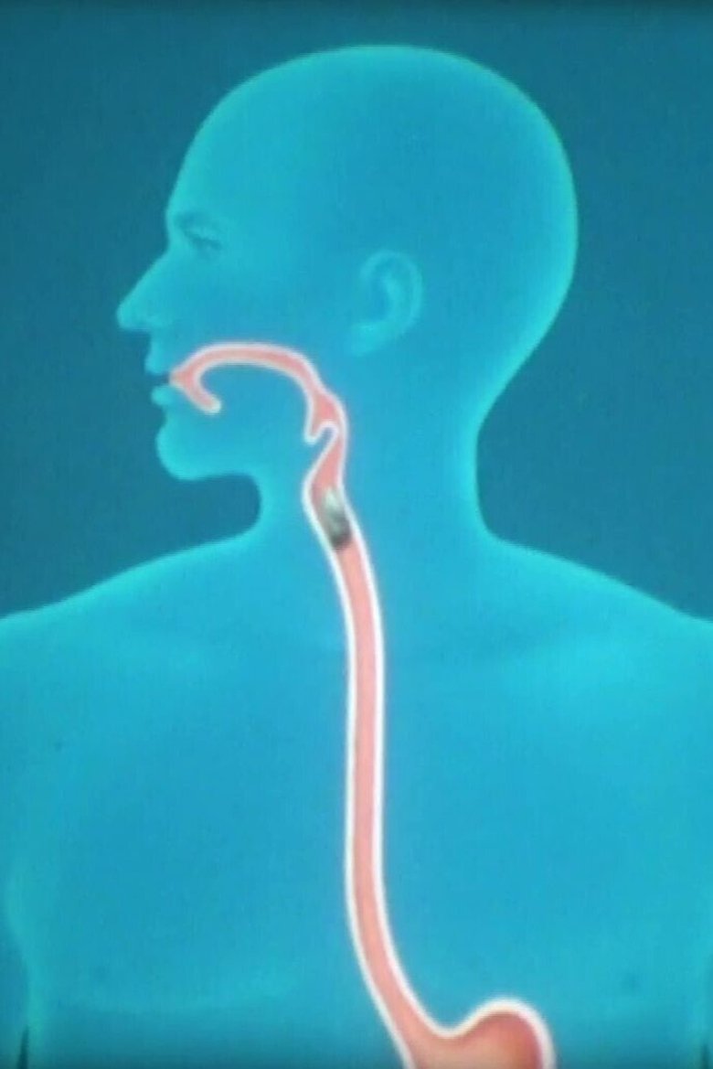 Nahrung und Verdauung (1985)