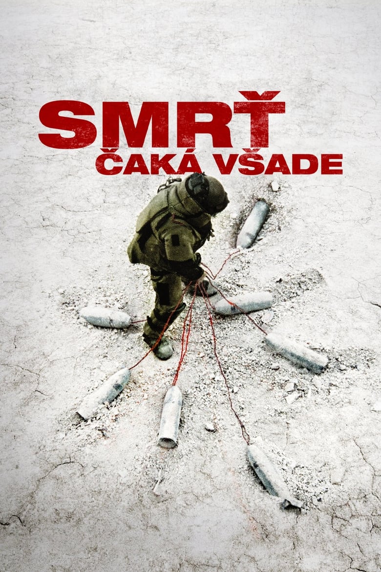 Smrť čak&aacute; v&scaron;ade (2008)