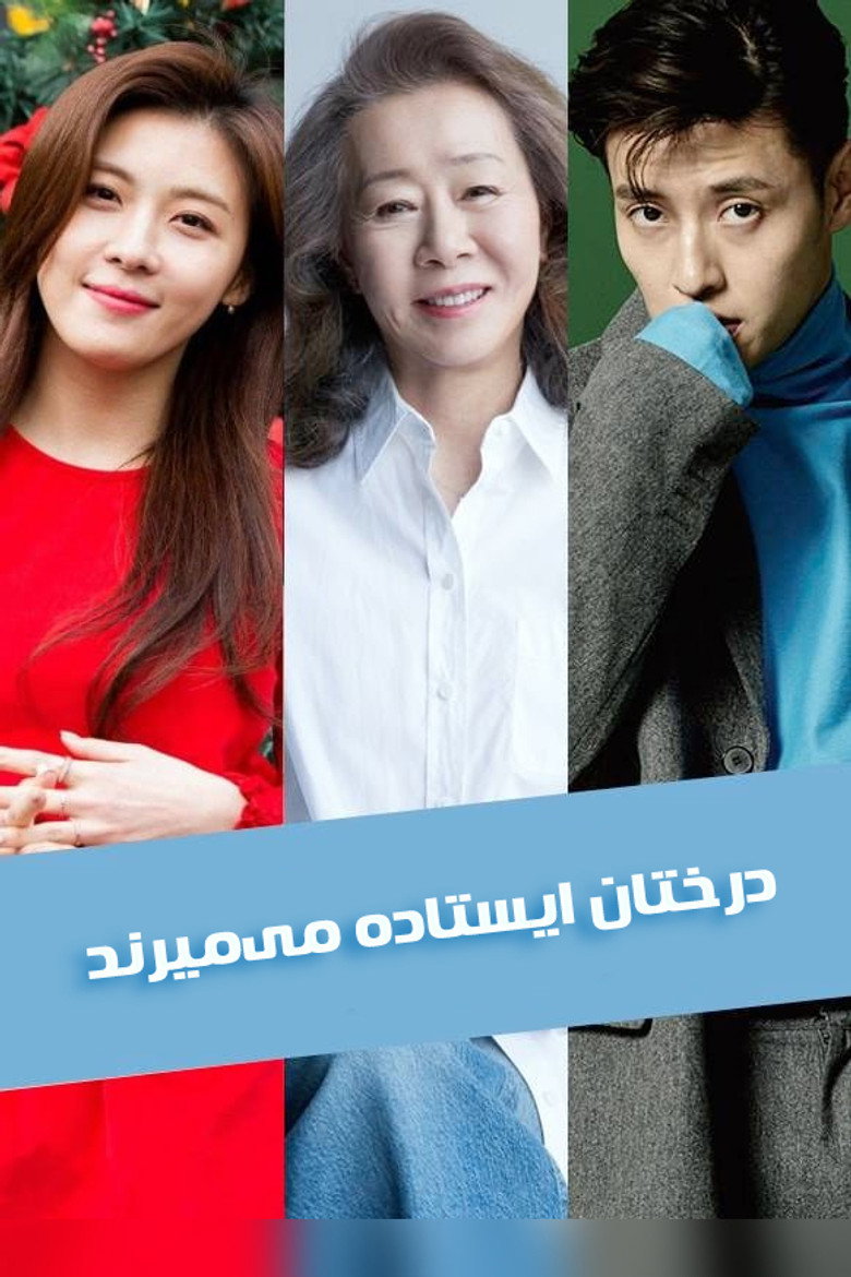 پوستر درختان ایستاده میمیرند