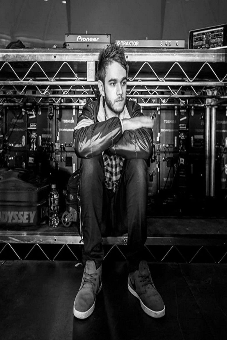 Imatge de Zedd: Moment of Clarity