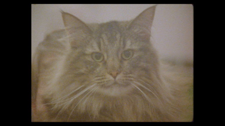 Gallery image from b7ETNuFhOkcBCuA228PhOrny5oc.jpg