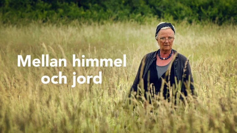 Fons de Mellan himmel och jord