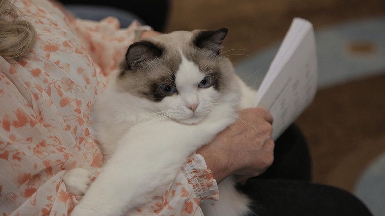 Still image for Going Fur Gold season 1 episode 3: Rule the Roost