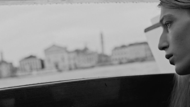 Imatge de Accept Our Sincere Apologies