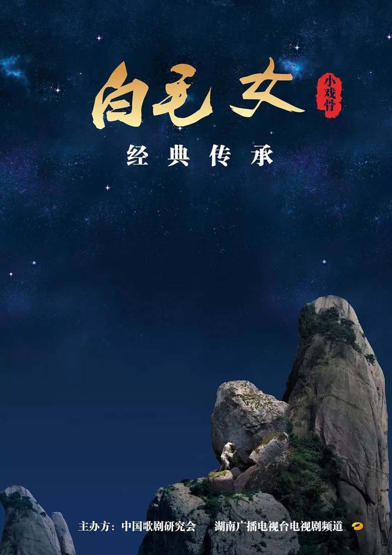 小戏骨:白毛女 poster
