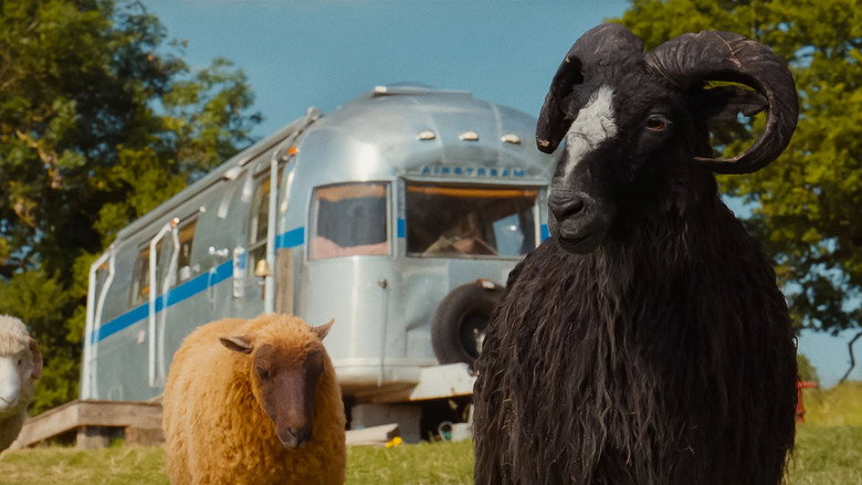 The Sheep Detectives - imagen 13